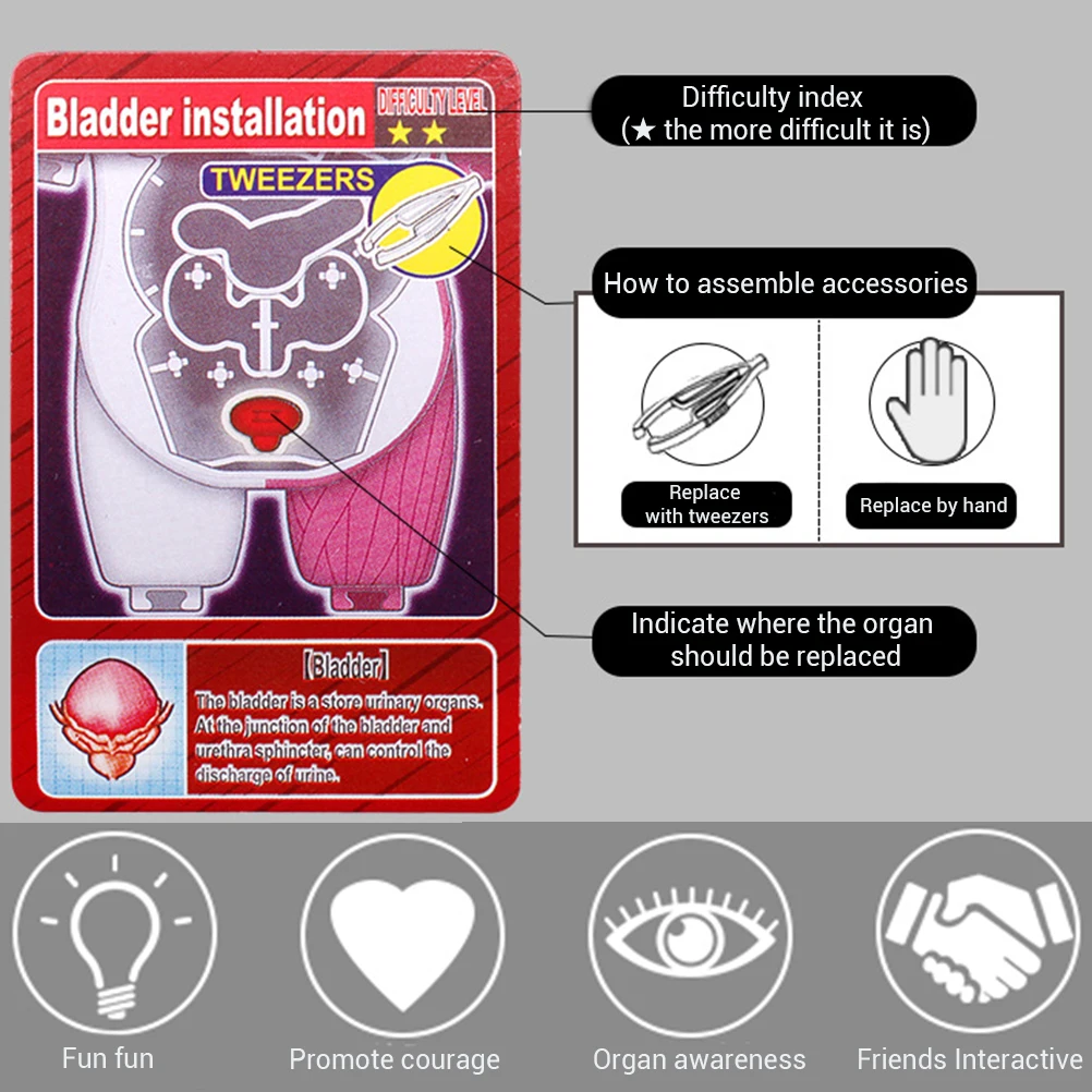 Новинка прикольная игрушка Анатомия человека шутка подарок для детей сборная