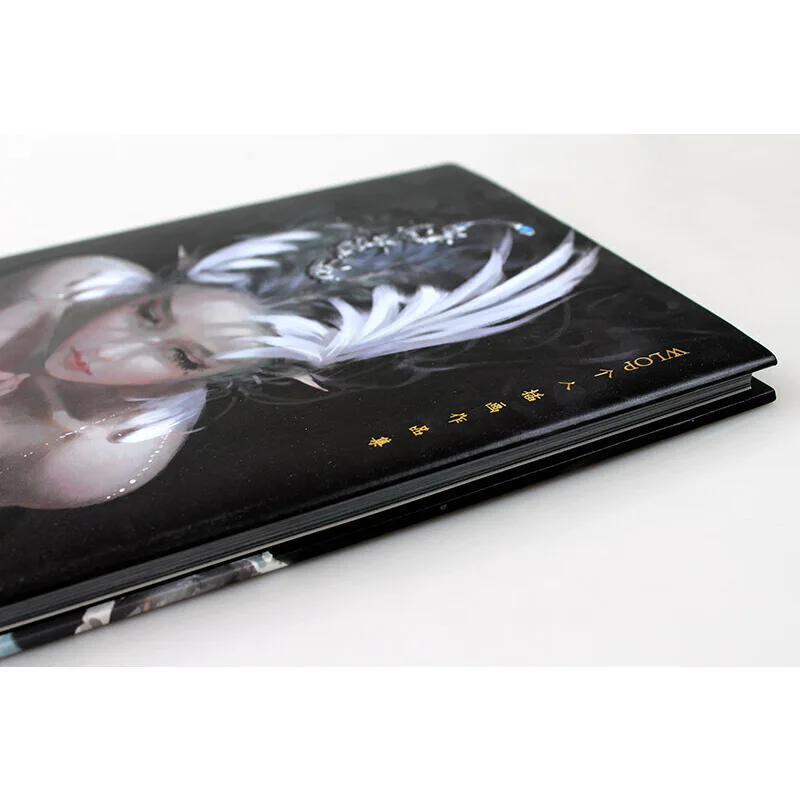 Новая популярная Коллекционная книга для персональных иллюстраций с