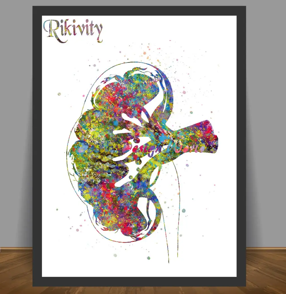 Картина на холсте Rikivity анатомический плакат Настенная картина с изображением