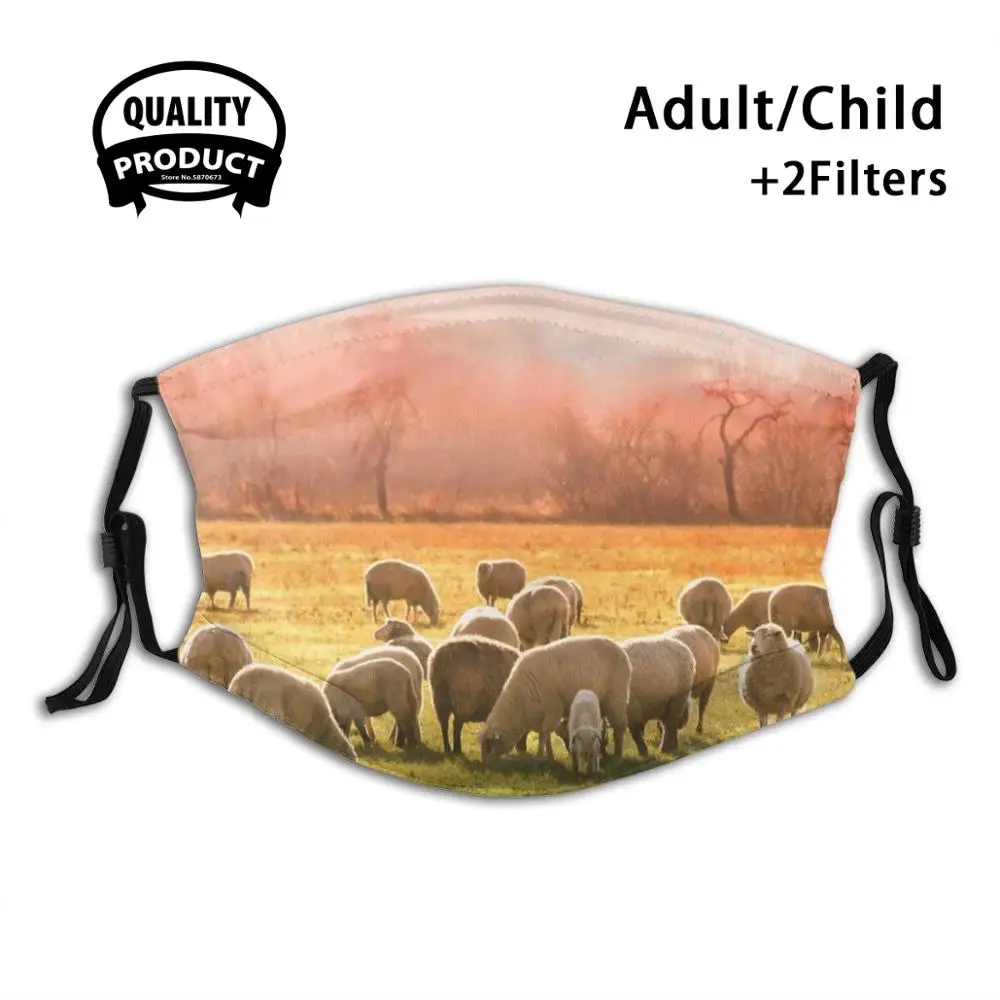 

Sheep Anti Dust Filter Men Women Kids Girl Boy Teens Mouth Masks Animal Nature Natural Creature Creation Wild Wildlife