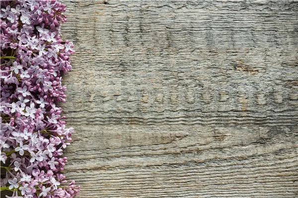 

SHENGYONGBAO Art Fabric Custom Photography Backdrops Props Board Wood Planks theme Photo Studio Background 20215-29