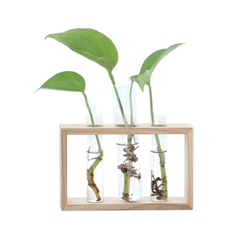 Стеклянная трубка Гидропонные трубки для растений прозрачный контейнер посадки