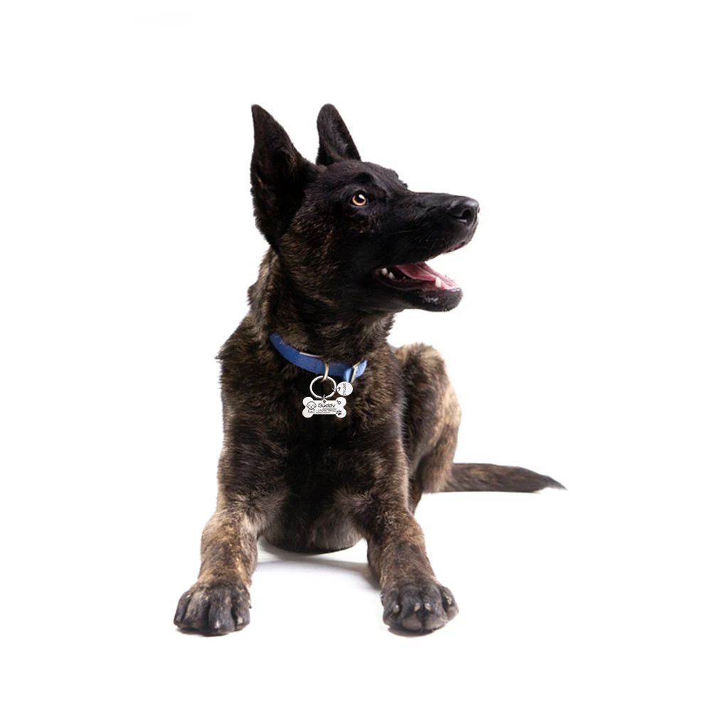 Персонализированная идентификационная бирка для собак и кошек с бесплатной