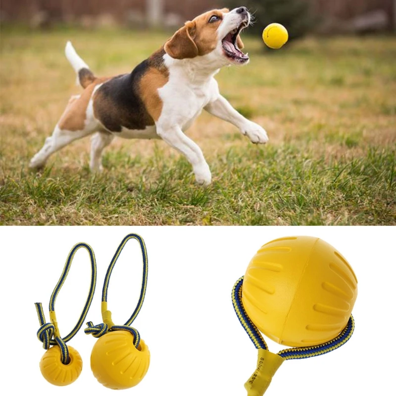 

2021 New Pet Dog Training Toy Ball Dog Ball Chew Bite Resistant Toy With