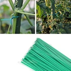 100 шт., кабельные стяжки для зеленых растений