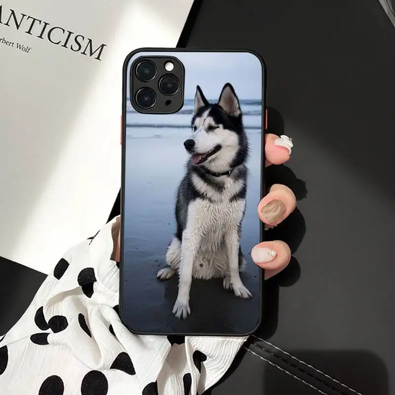 

Alaskan Malamute Siberian husky cute dog Phone Case matte transparent For iphone 7 8 11 12 plus mini x xs xr pro max cover