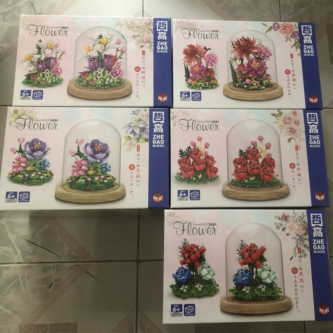 2023 г. город творчество иммортный цветок суккулент растение МНИ строительные