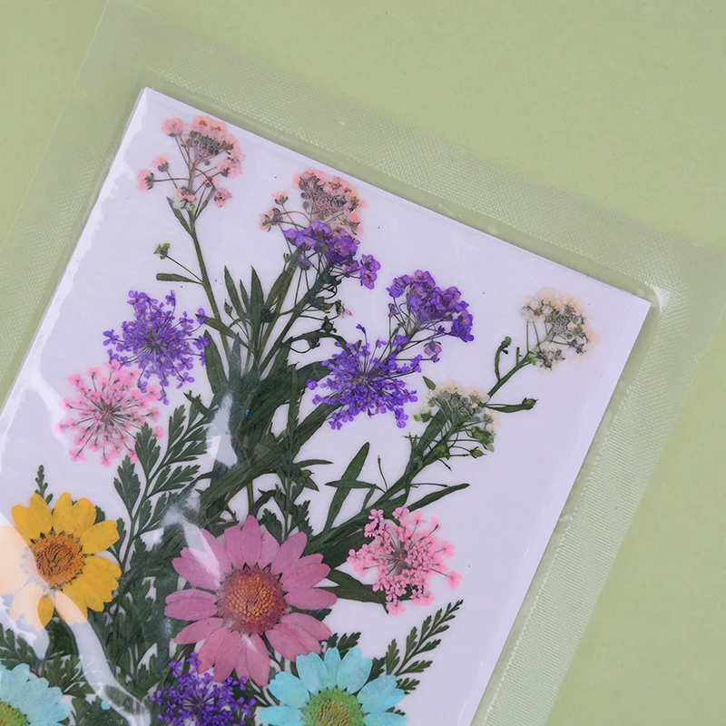 Сушеные цветы прессованные сделай сам сохраненный цветок УФ полимер украшение