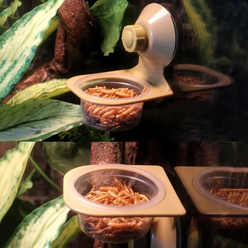 Wall Hanging Feeding Dish Bowl Spider Breeding Box Tank Pot Supplies Suction Cup Reptile Water Food Feeder | Дом и сад