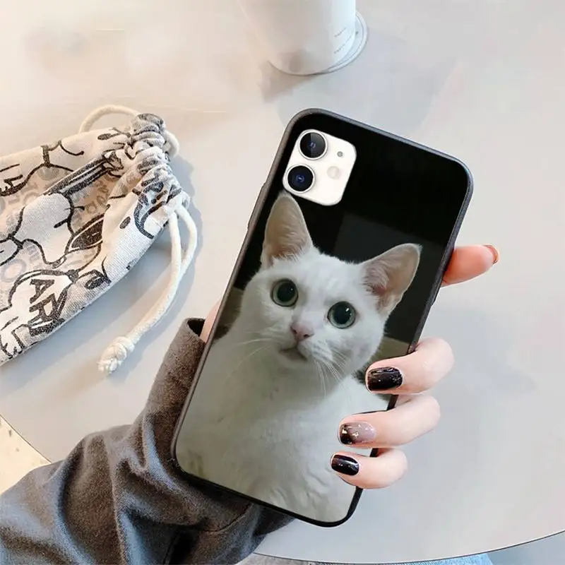 

squishy lovely cat Phone Case for iPhone 11 12 pro XS MAX 8 7 6 6S Plus X 5S SE 2020 XR mini