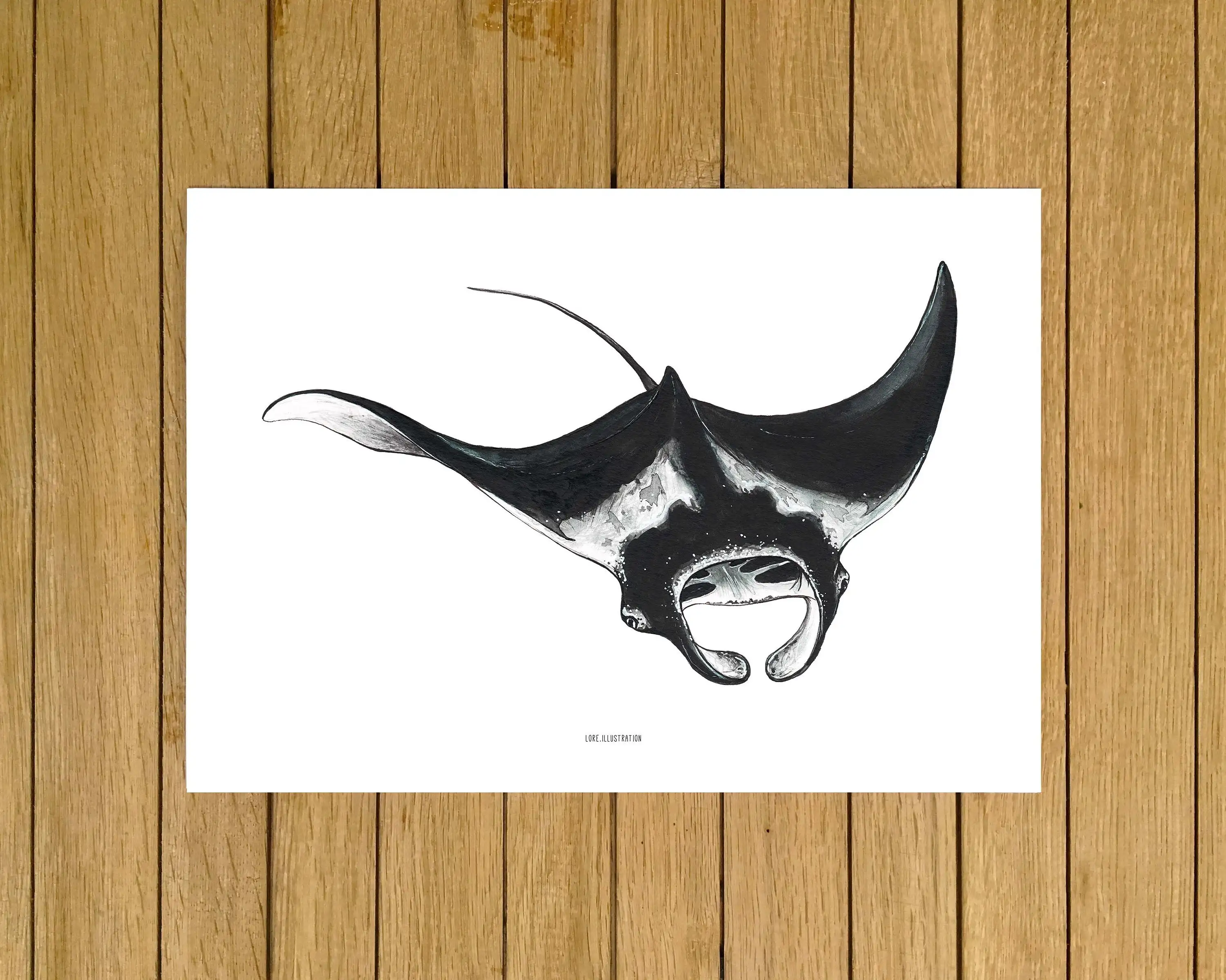 Manta Ray Print декор для стен океана вид животных принт жикле иллюстрация печати