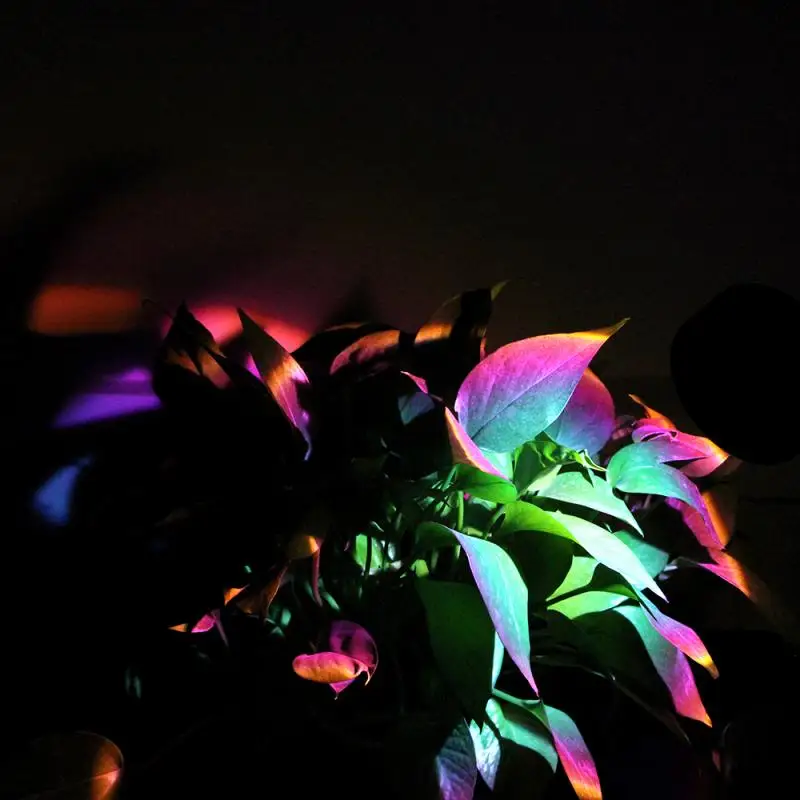 

Night Lights