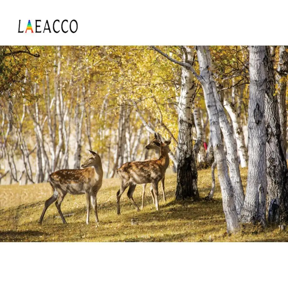 Laeacco Photo Backgrounds Grass Autumn Tree Deer Baby Child Natural Scenic Photography Backdrop For Studio |