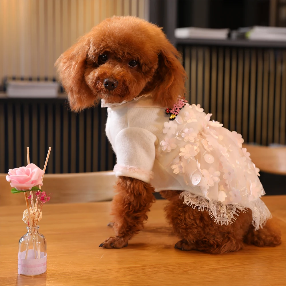 Зимняя одежда для собак HOOPET теплая хлопковая утолщенные продукты питомца пальто