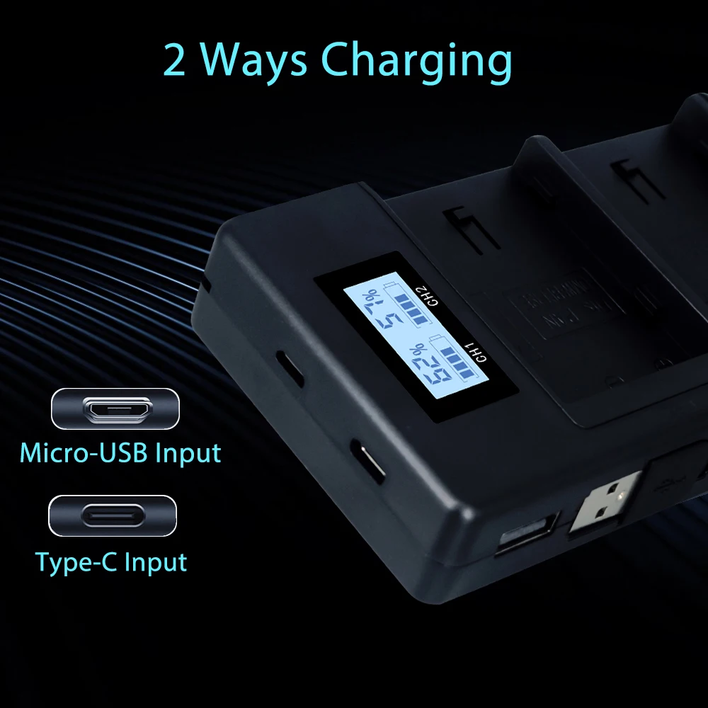 PALO 2200mAh DMW-BLF19E DMW-BLF19 камера батарея DMW BLF19 BLF19E + LCD двойное USB зарядное устройство для