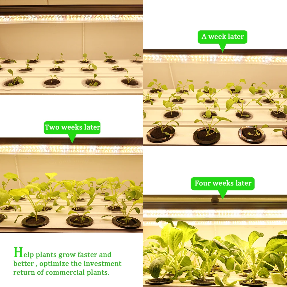 

3pcs/lot 60cm T8 Tube LED Grow Light Bar Warm Full Spectrum Plant Lamp for hydroponics seedlings vegs greenhouse grow tent
