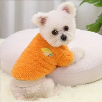 fruit patch velvet small dog winter jacket solid color hoodies for pets chihuahua coat kitten yorkshire overall free shipping