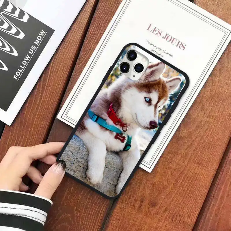 

Cute Husky dog high quality Phone Case for iPhone 11 12 pro XS MAX 8 7 6 6S Plus X 5S SE 2020 XR