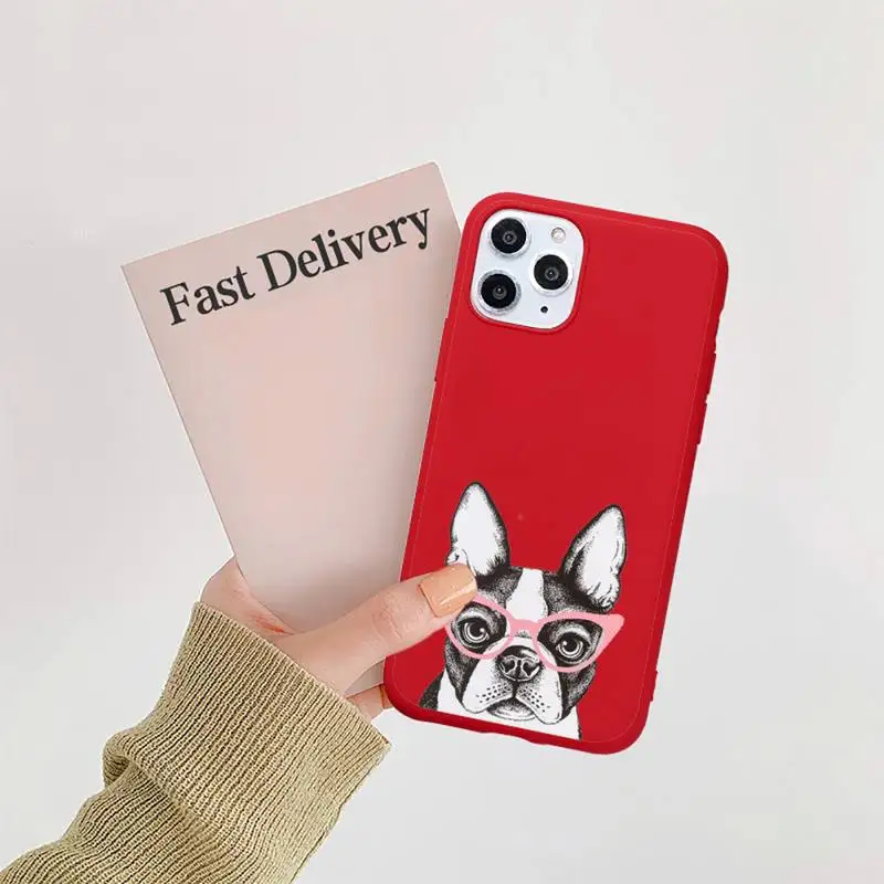 

Cute dog luxury Phone Case coque capa Candy Color for iPhone 11 12 mini pro XS MAX 8 7 6 6S Plus X SE 2020 XR