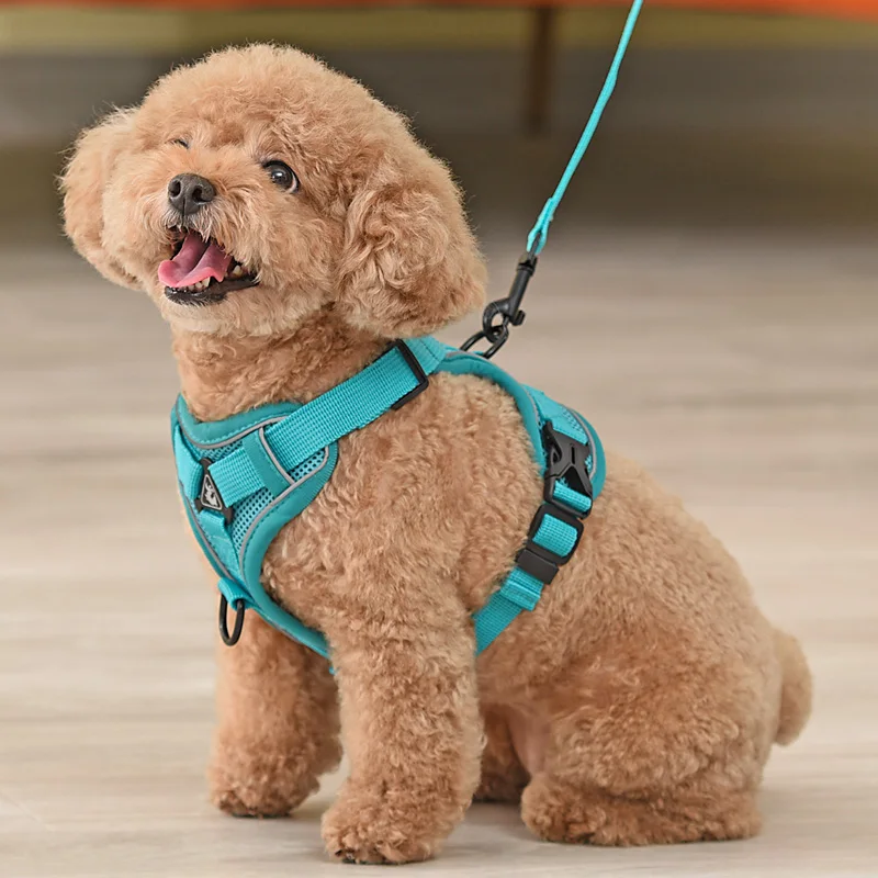 Шлейка с поводком для собак регулируемая дышащая мягкая | Дом и сад