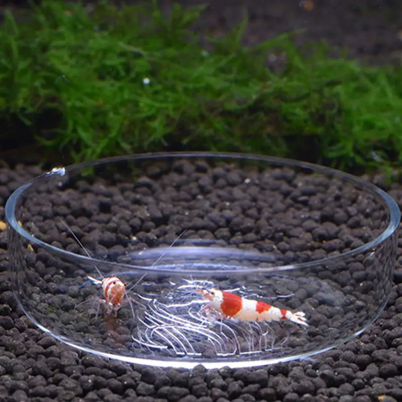 

Прозрачная стеклянная кормушка для креветок, круглые блюда, миска для кормления маленьких рыб, декоративные принадлежности для аквариума