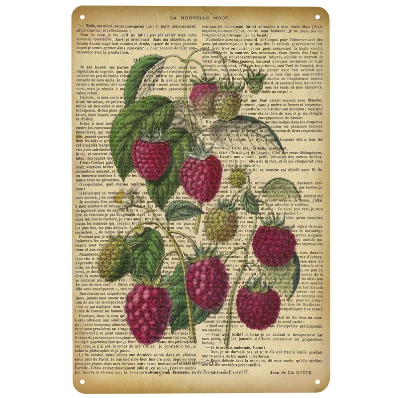 

Raspberry on old book printed Metal Signs Retro Tin Signs Funny Poster Decor for Bar Pub Club Decoration for Living Room Home