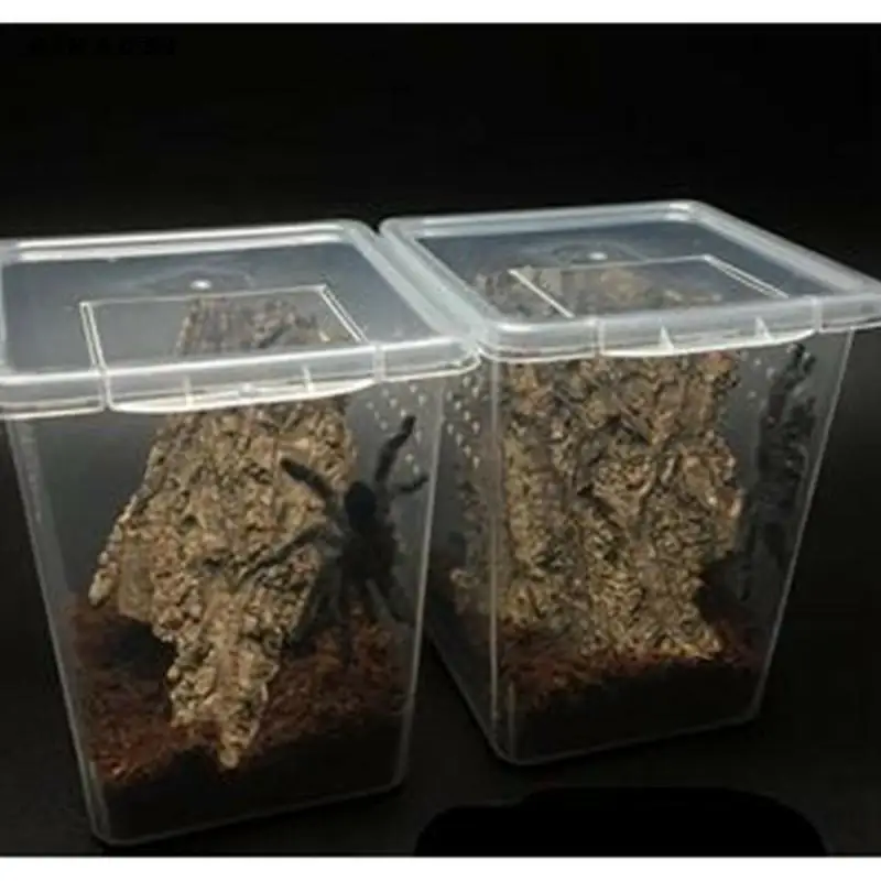 Прозрачная пластиковая коробка для кормления рептилий 33/10/7 шт.|Товары насекомых|