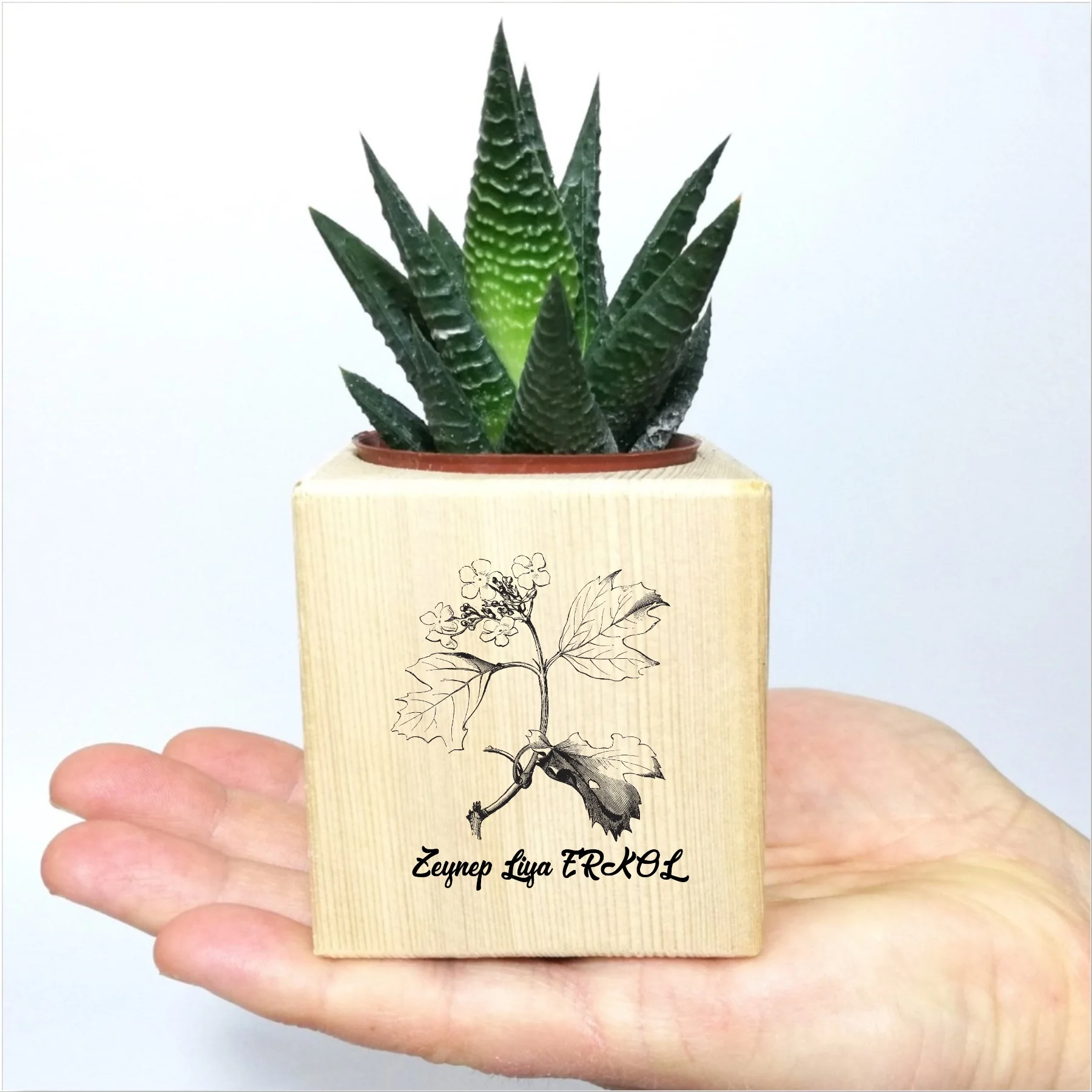 

Personalized Flower Themed Cube Sukulent In Pots