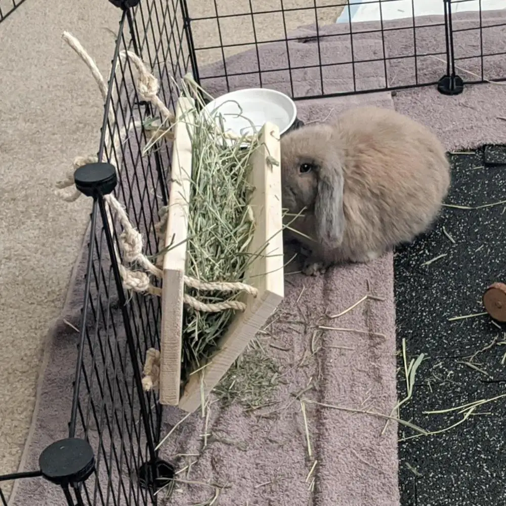 Маленький Домашний хомяк кролик деревянная кормушка для сена держатель