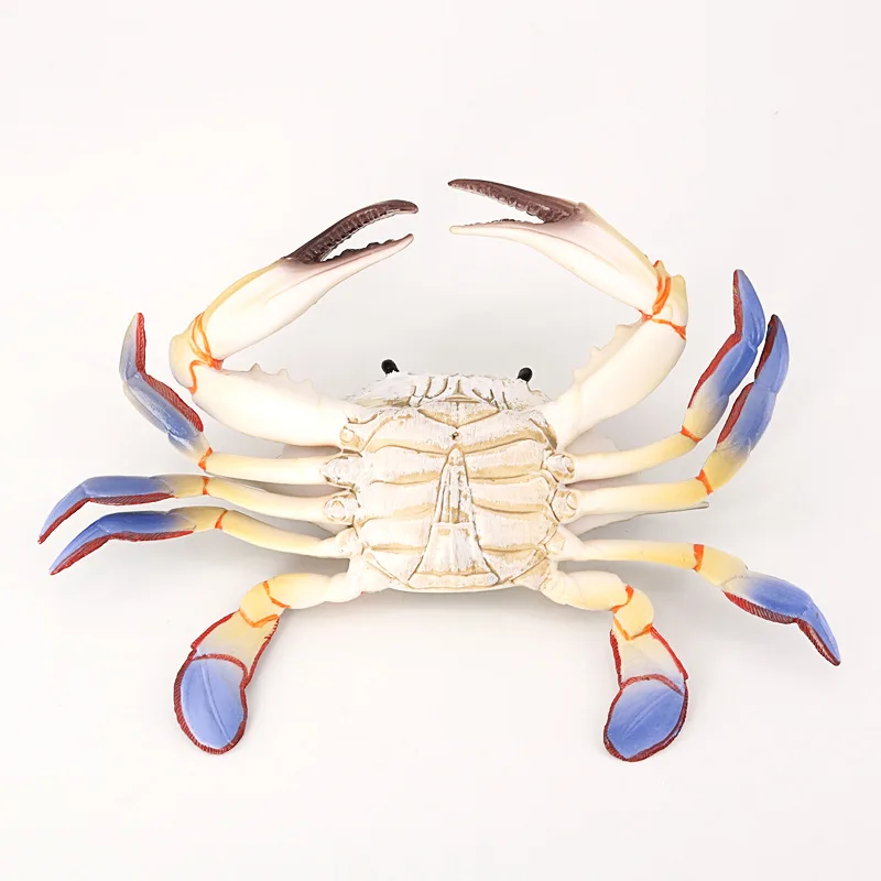 Модель Ocean Life игрушки Portunus модель животного ПВХ пластиковые фигурки для