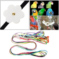 pet harness small pets parrot bird parakeet leash outdoor adjustable strap training rope flying cross band soft colorful