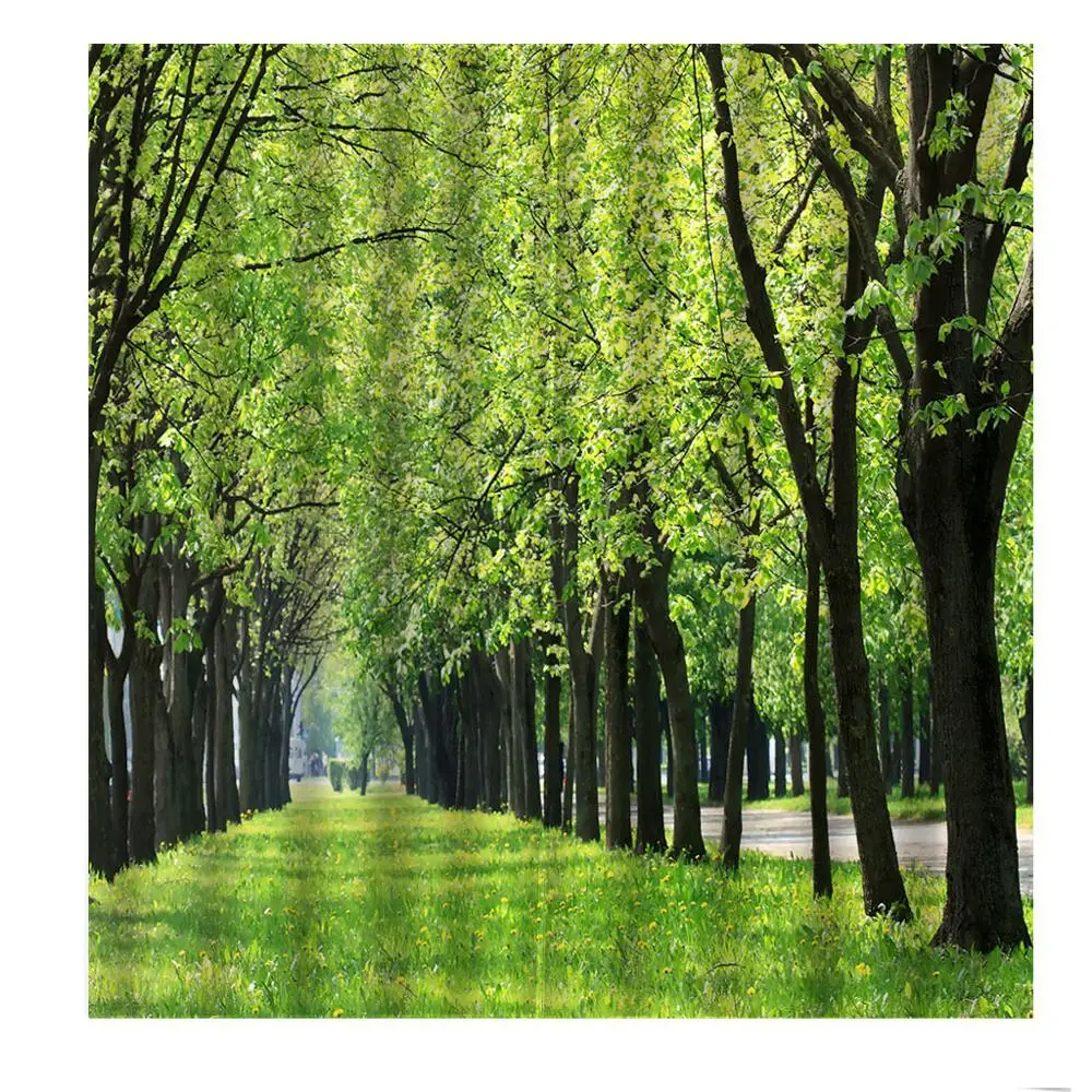 Modern Park woods lawn Trail 3d landscape Curtains Digital Print For Living room Bedroom Sunshade Blackout Drapes Indoor Sets | Дом и сад