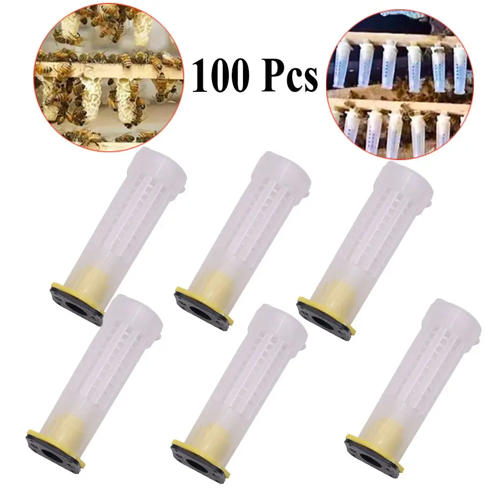 100 шт. пчеловодная королева сотовый клетки Пластик коробка для выращивания