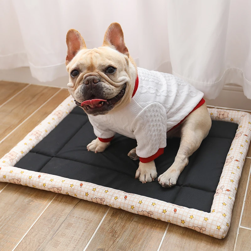 Четыре сезона общие Домашние животные плохой квадратный край собаки прохладное