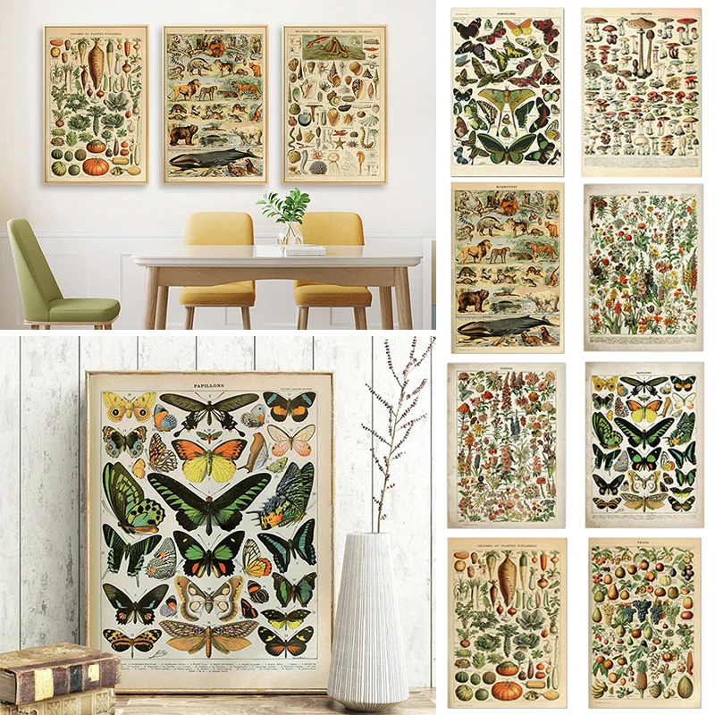 

Rectangle Poster Wall Art Pictures Canvas Canvas Painting Butterfly Vintage Fruit Mushroom Poster Imitation Antique Hoom Decor