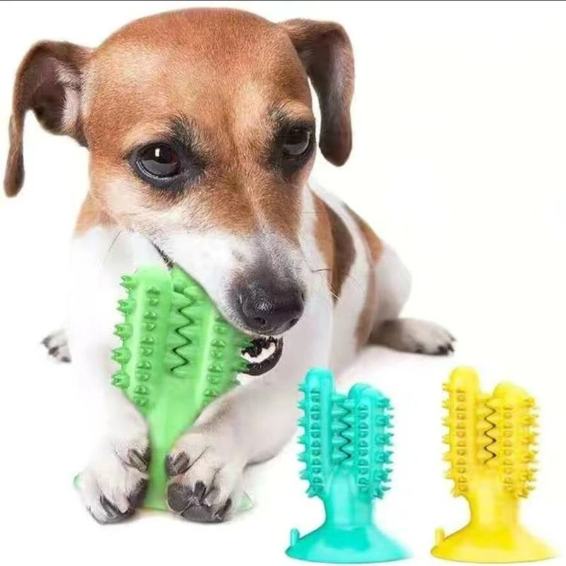 

Dog Toothbrush Toys for Dogs Sucker Cactus Pet Chews Teeth Training IQ Teeth Cleaning Durable Dog Toy Supplies Dog Toothbrush