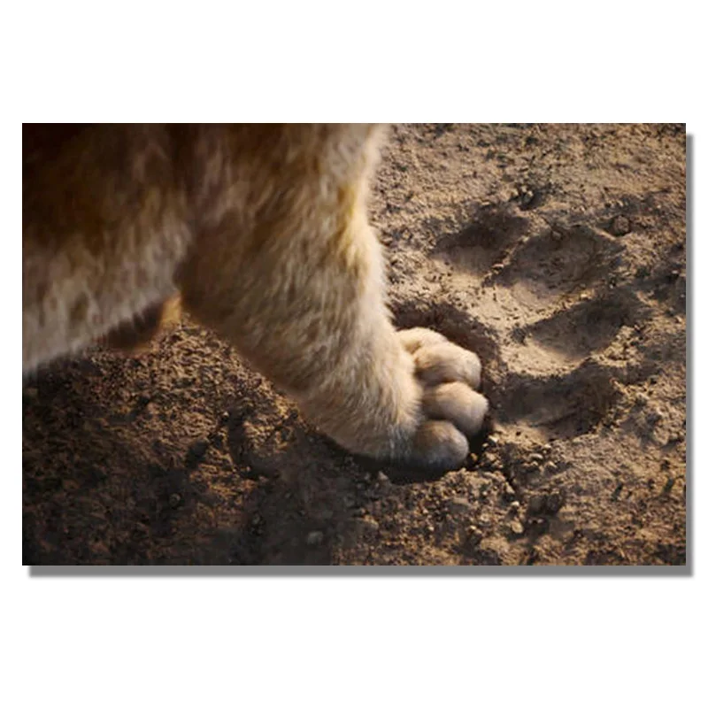 10 Мультфильм Simba алмаз 5d Diy Алмазная картина вышивка крестиком лев Король друзья Рукоделие Алмазная мозаика вышивка домашний декор - Цвет: 10