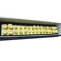 1 set permanent teeth model with base 11 size dental tooth teeth dentist dentistry anatomical anatomy shape model