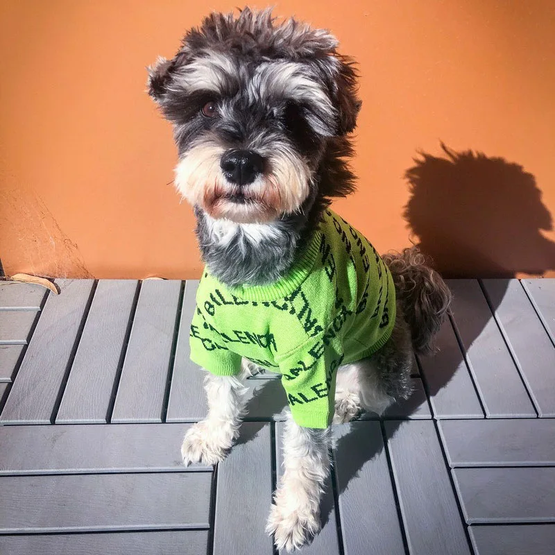 

Cute Avocado Green Pet Clothes Small Dog Sweater Winter Clothes Flexible Warmth Clothes for Korea Dog Koki Teddy Cat Dog Sweater