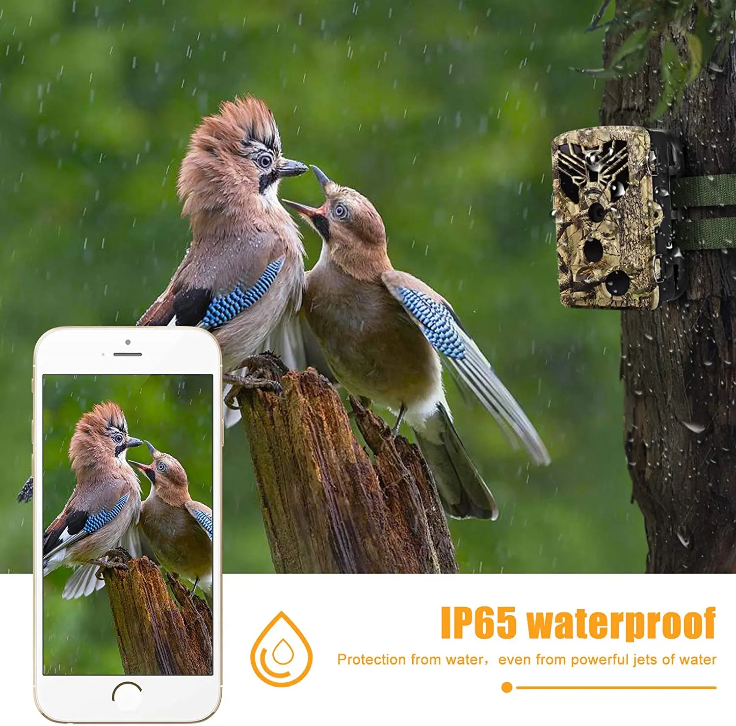 Live Show Trail Camera Wifi APP Remote Control Hunting Cameras 24MP 1296P Night Vision WildPhoto Traps Surveillance | Спорт и