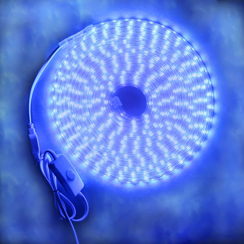 Светодиодная светильник та RGB лента 220 В 100 м свет SMD 5050 rgb 50 светодиодсветильник