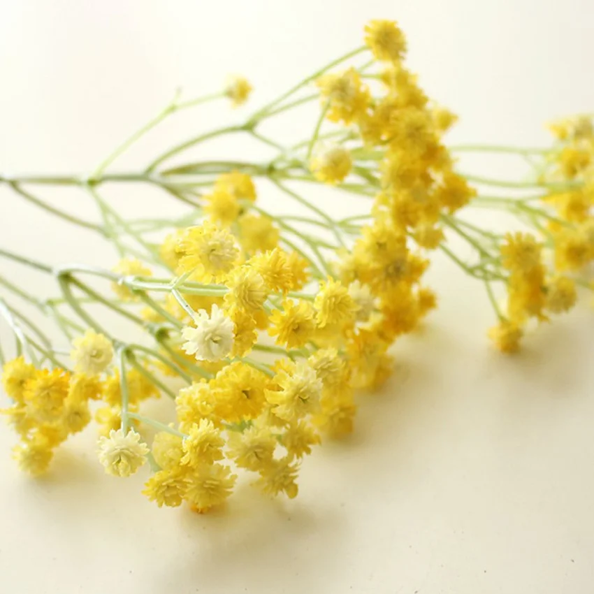 Гипсофила метельчатая мягкий клей Малый засушенные цветы свадебная фата Дешевые