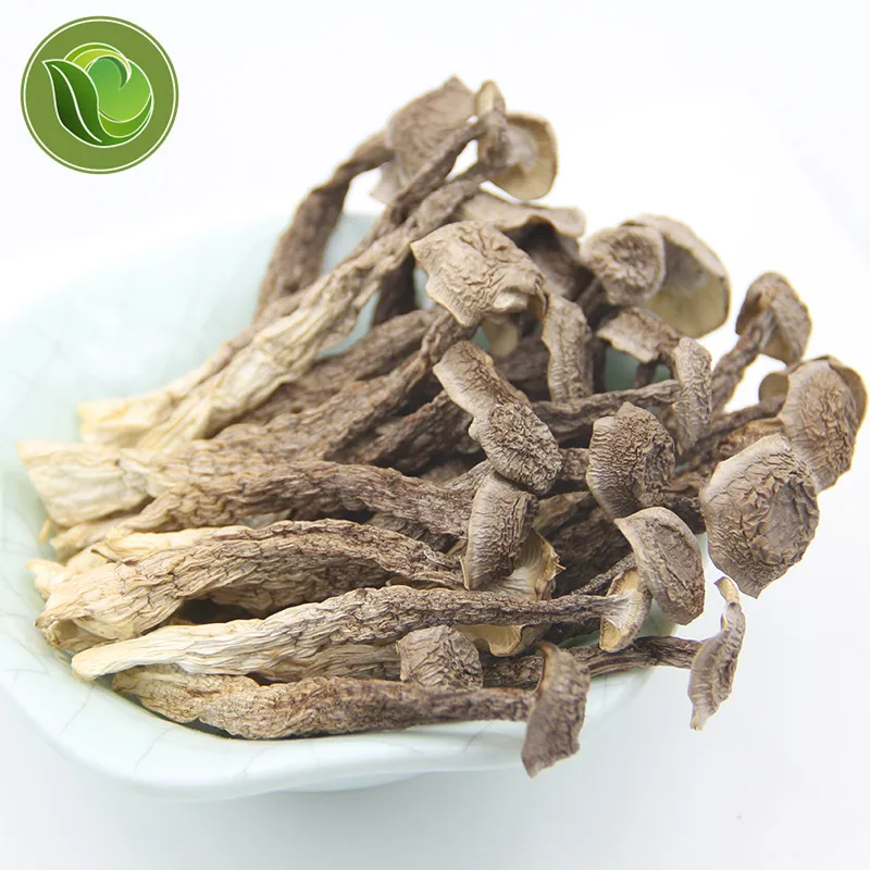 

Natural Mushrooms Ingredients Velvet Antler Bacteria Pilose Antler Mushrooms