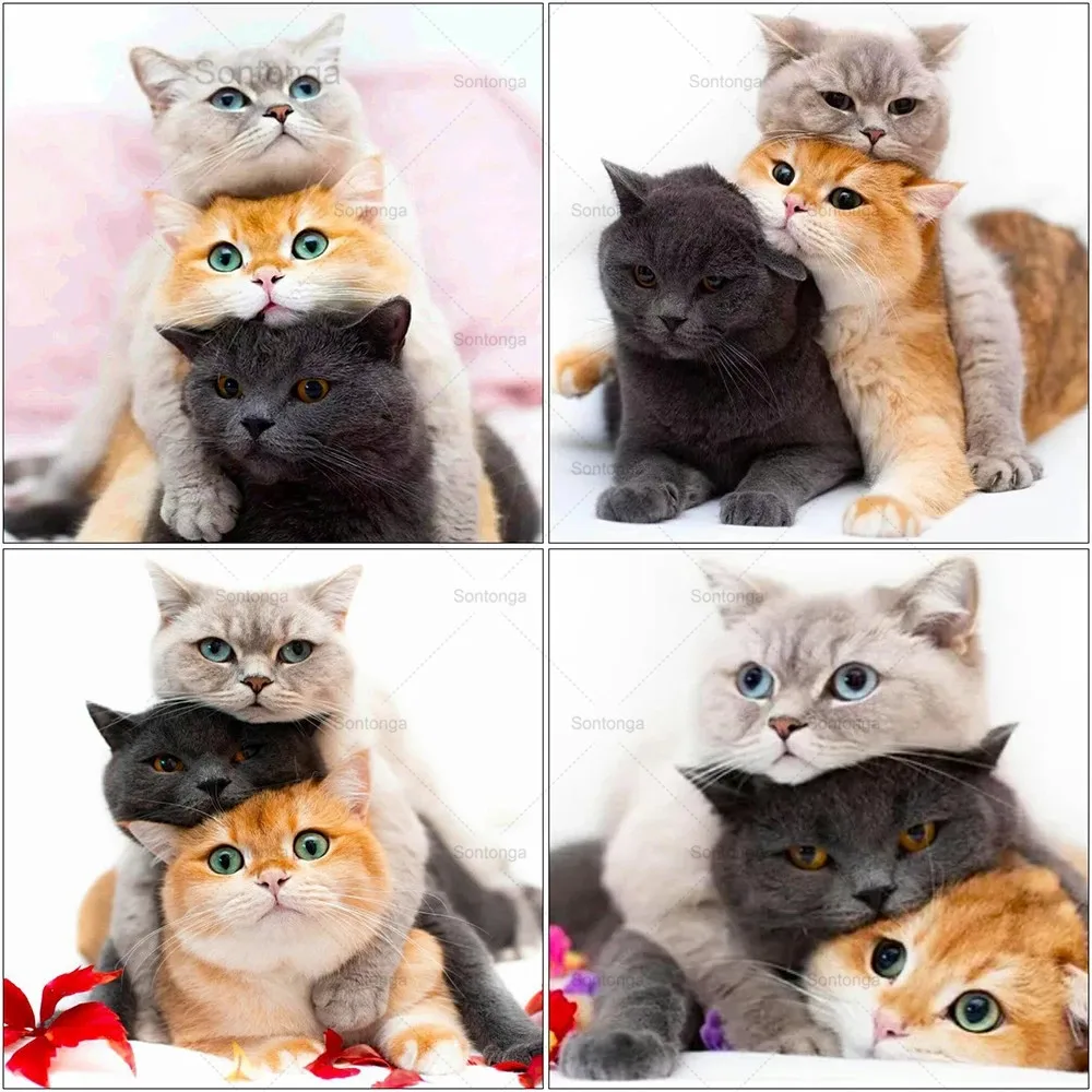 

Sontonga 5D Diy Diamond Embroidery Cat Full Square Round Diamond Painting Animals Mosaic Rhinestone Home Decoration