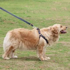 Кожаный ошейник для собак, персонализированный поводок для маленьких, средних и больших питомцев