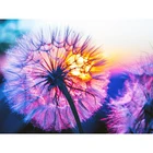 Полный 5D Diy Daimond Живопись Вышивка крестом закат, принт в виде одуванчиков, 3D алмазов картина роспись круглыми стразами вышивка Diamant