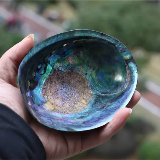 Раковина абалона натуральная ракушка крафт-бижутерия раковина домашнее