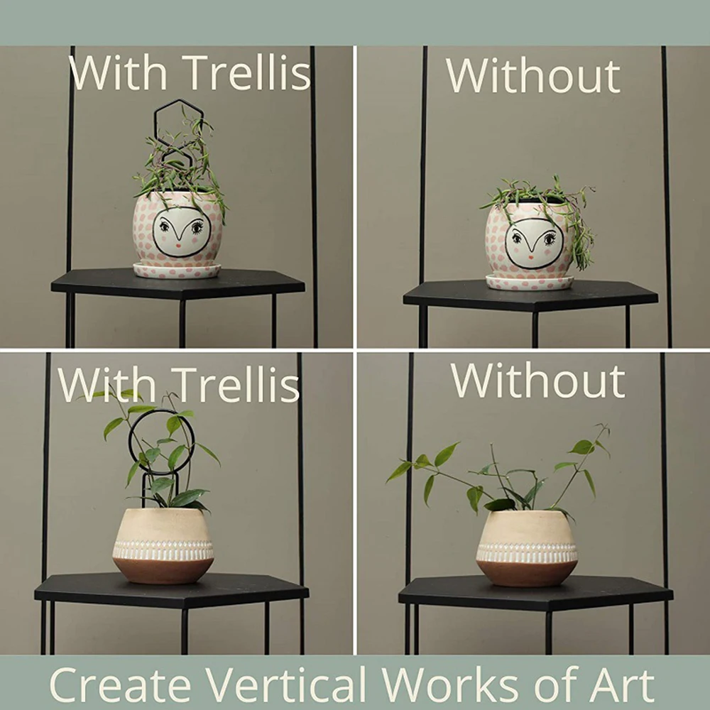 

3Pcs DIY Potted Plants Metal Irregular Garden Climbing Plant Support Stake Stand Plants Flower Vegetables Vine Rack Bonsai Tools