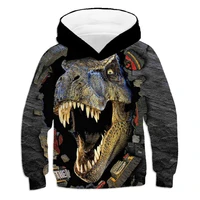 dinosaur hoodies for kids clothing toddler boy costumes youth hoodies boys hoodie polyester teen boys animal pollvers