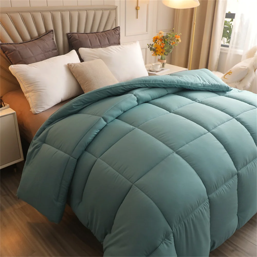 

2021 Thicken Winter Thicken Warm Embroidery Spring and Autumn Quilt Air Conditioning Quilt Dormitory Students